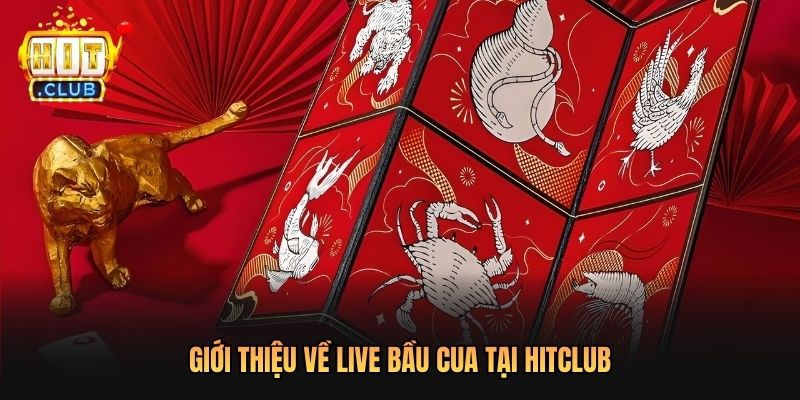 Giới thiệu về Live Bầu Cua tại Hitclub