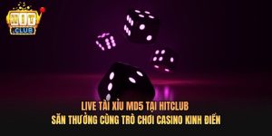 Live Tài xỉu MD5 Tại Hitclub