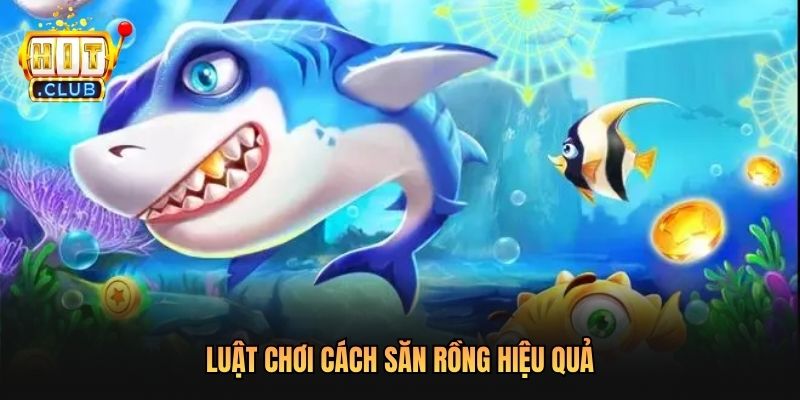 Luật chơi cách săn rồng hiệu quả